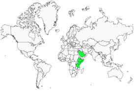 Distribution 