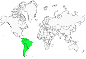 Distribution 
