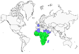 Distribution 