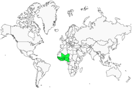 Distribution 