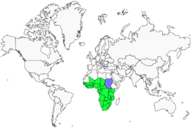 Distribution 