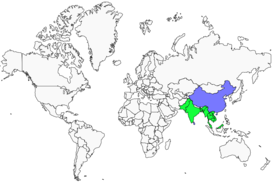 Distribution 