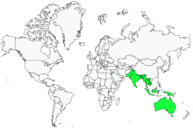 Distribution 