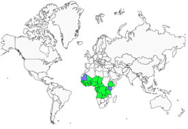 Distribution 