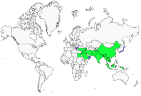 Distribution 