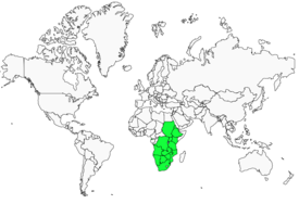 Distribution 