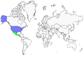 Distribution 
