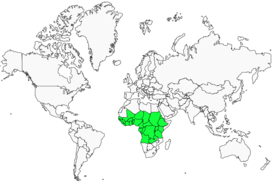 Distribution 