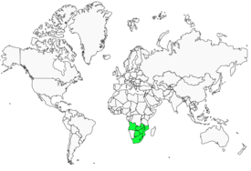 Distribution 