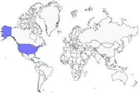 Distribution 