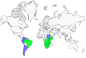 Distribution 