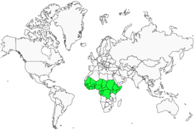Distribution 