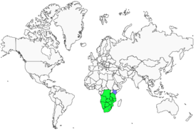 Distribution 