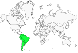 Distribution 