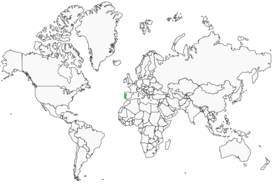Distribution 