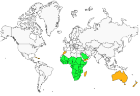 Distribution 