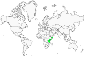 Distribution 