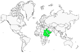 Distribution 