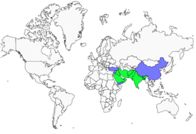 Distribution 