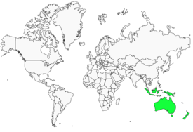 Distribution