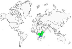 Distribution 