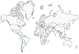 Distribution 