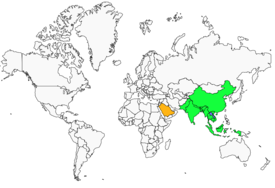 Distribution 
