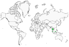Distribution 