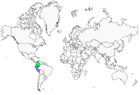 Distribution 