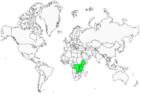 Distribution 