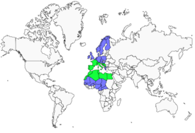 Distribution 