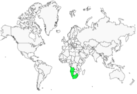 Distribution 