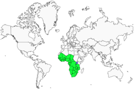 Distribution 