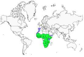 Distribution 