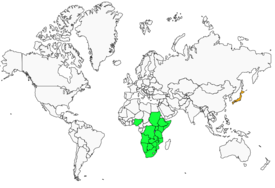 Distribution 