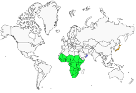 Distribution 