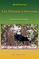 Les oiseaux à berceaux