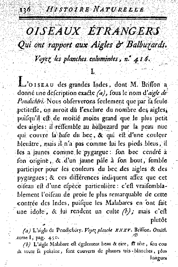 Oiseaux étrangers qui ont rapport aux Aigles et Balbuzards.