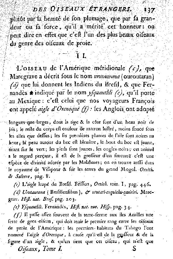 Oiseaux étrangers qui ont rapport aux Aigles et Balbuzards.