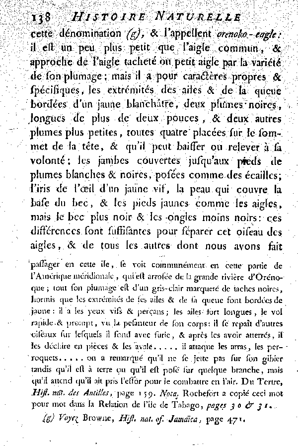 Oiseaux étrangers qui ont rapport aux Aigles et Balbuzards.