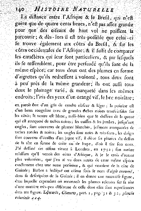 Oiseaux étrangers qui ont rapport aux Aigles et Balbuzards.