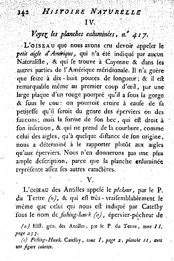 Oiseaux étrangers qui ont rapport aux Aigles et Balbuzards.