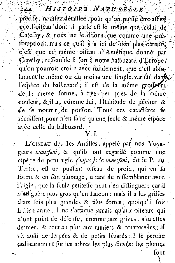 Oiseaux étrangers qui ont rapport aux Aigles et Balbuzards.