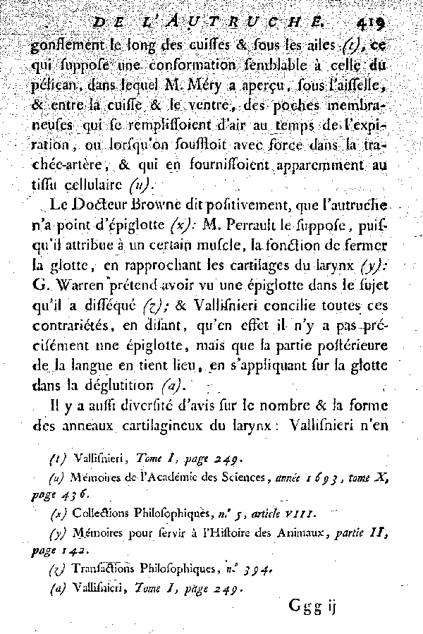 L'Autruche.