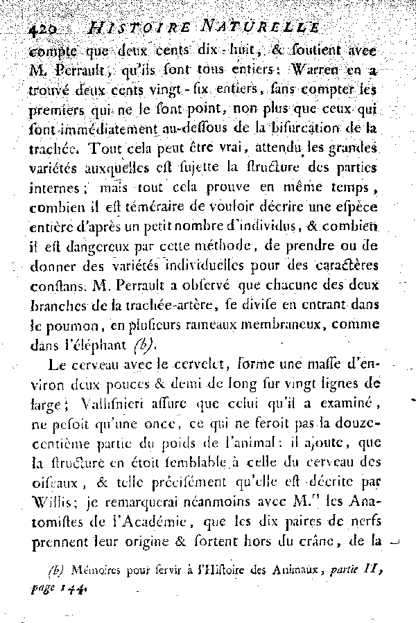 L'Autruche.