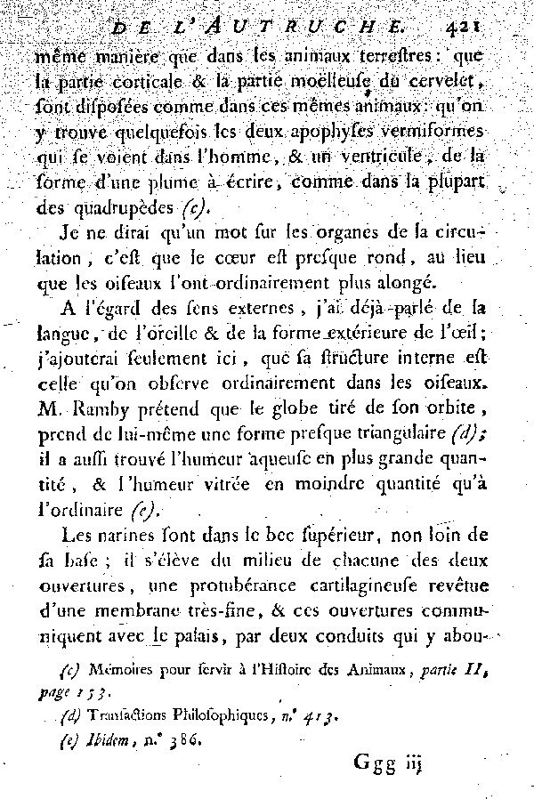 L'Autruche.
