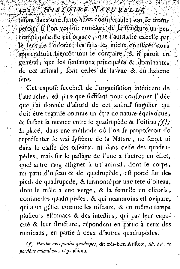 L'Autruche.