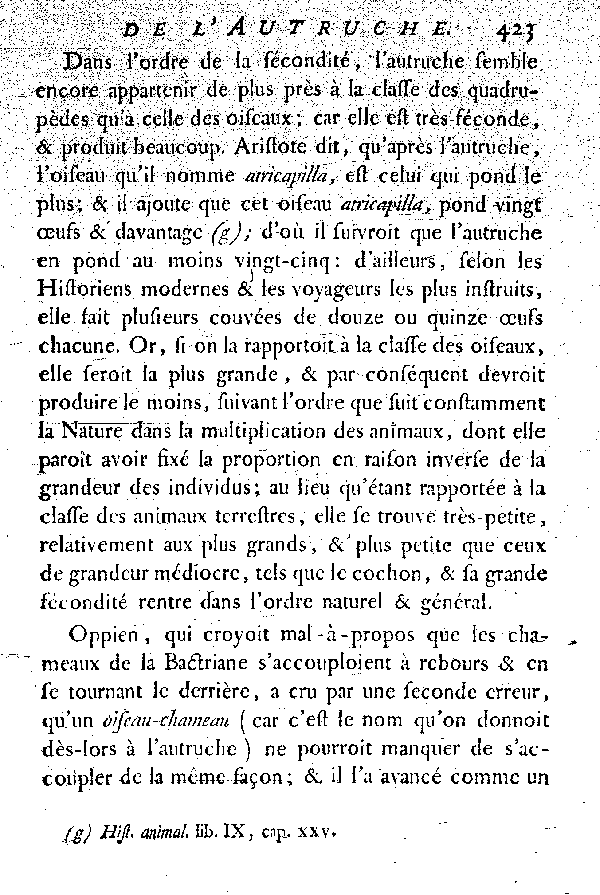 L'Autruche.