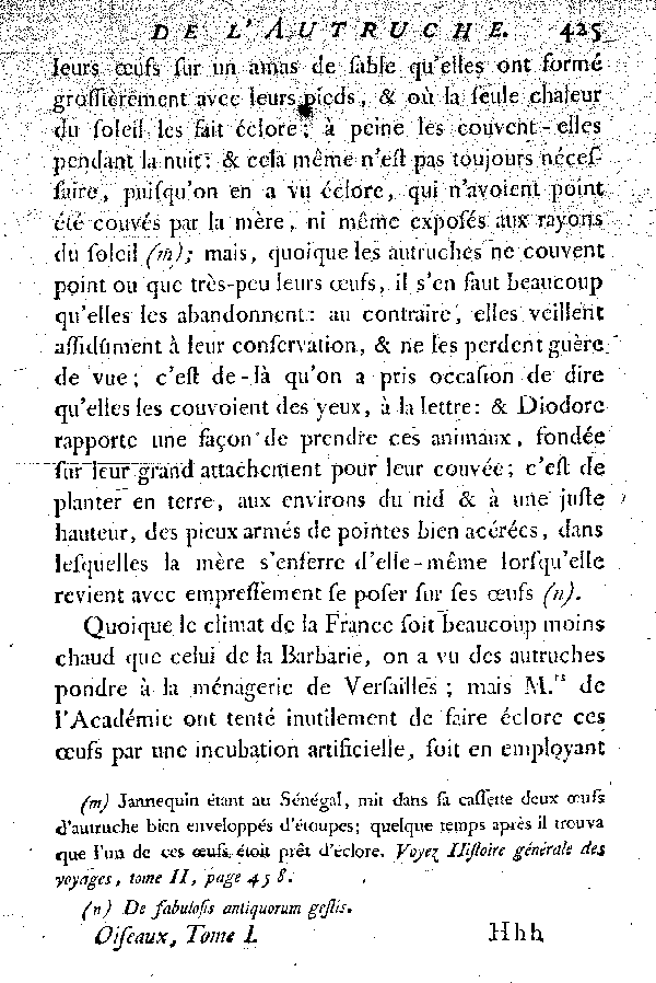 L'Autruche.