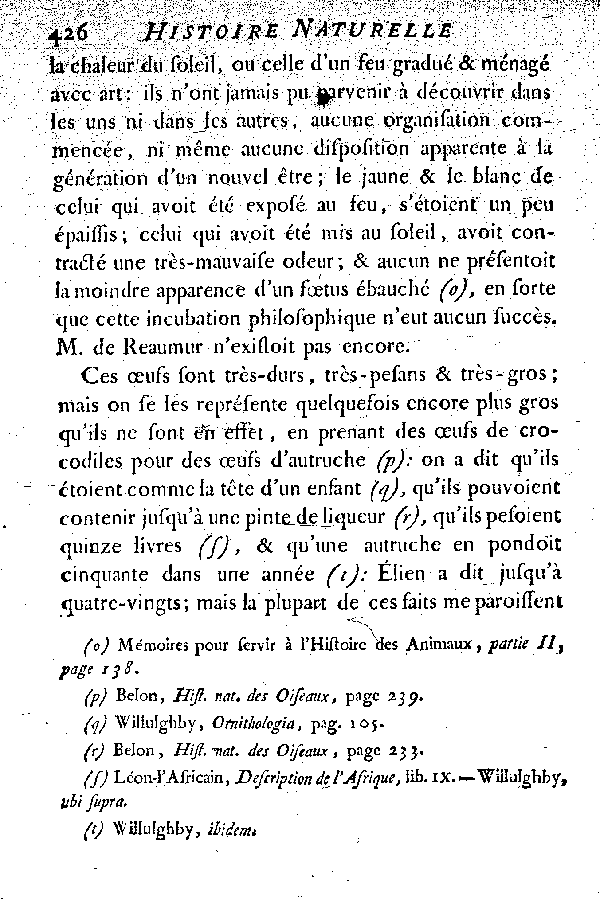 L'Autruche.